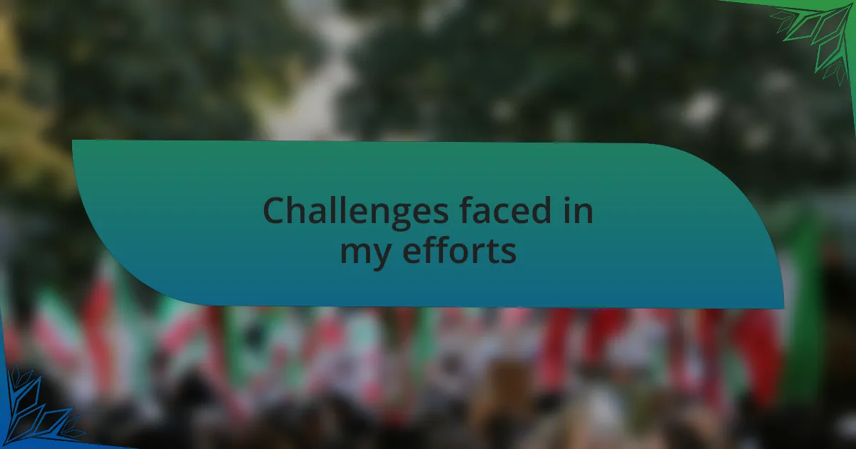 Challenges faced in my efforts