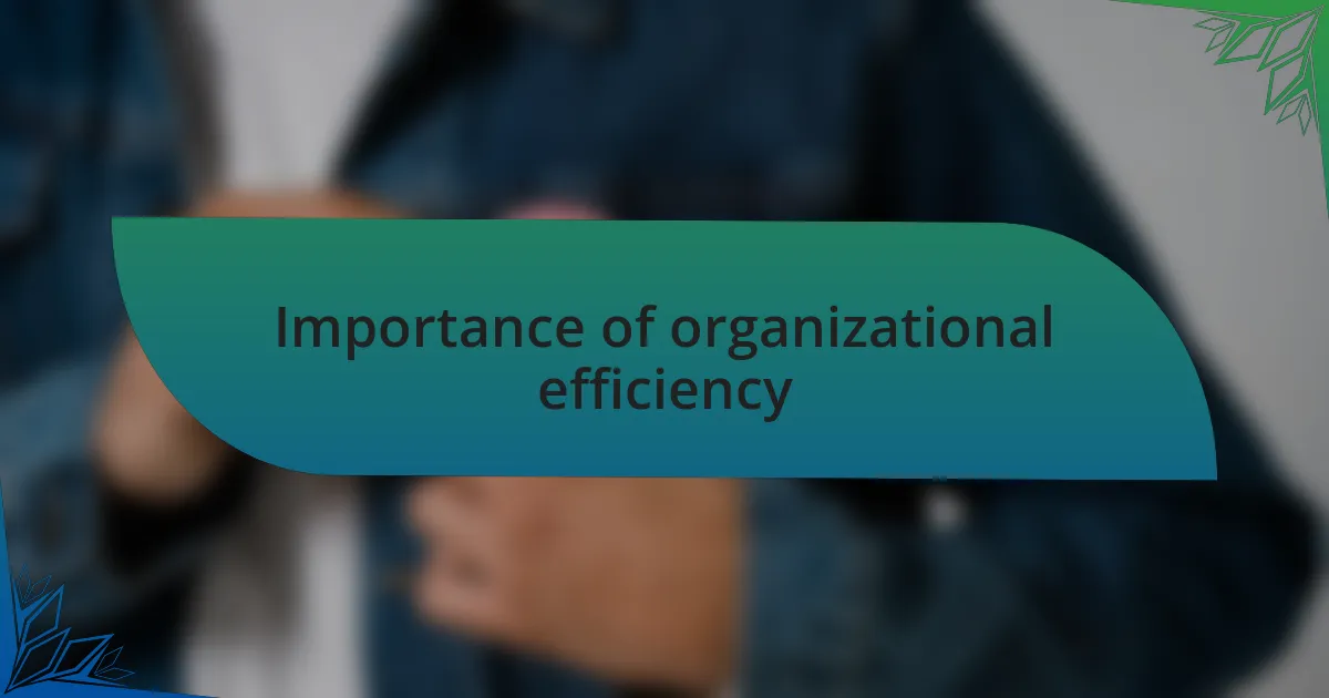 Importance of organizational efficiency