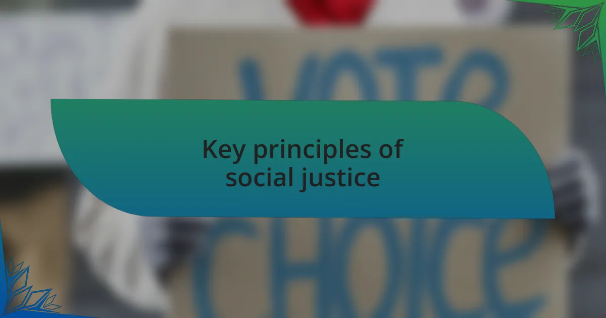 Key principles of social justice