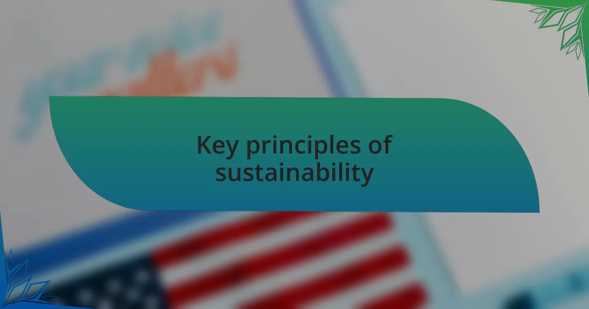 Key principles of sustainability